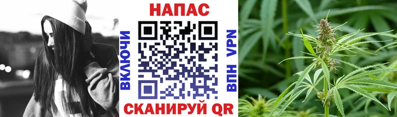 купить  сайты  Янаул  Каннабис конопля 